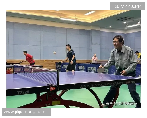 杨强的乒乓球人生探索与深度对话背后的故事与启示