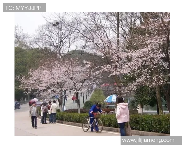 武汉乒乓球队的控制策略与发展动态深度解析